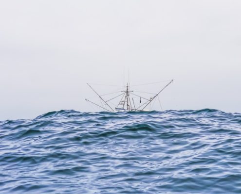 23-STICKBOAT-1024x682