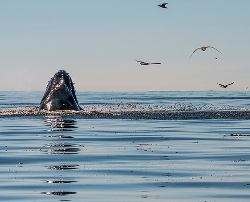John F. Hunter Photography John F. Hunter Photography